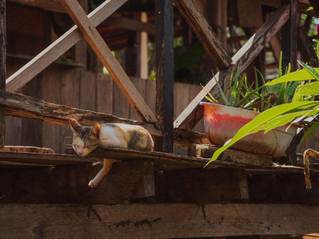 Nature House Eco-Lodge& Trekking Banlung Exterior foto